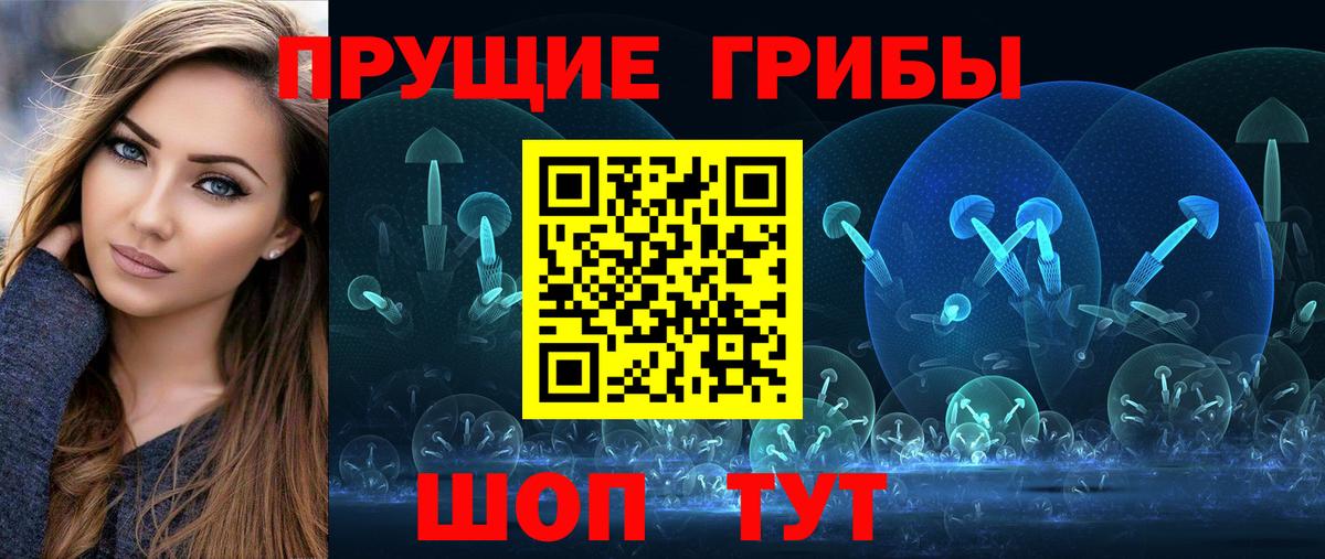 где купить наркоту  Псилоцибиновые грибы Psilocybe  Вход с VPN  Ирбит 